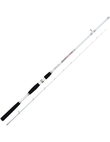 Caña Squid Hunter 2.70m